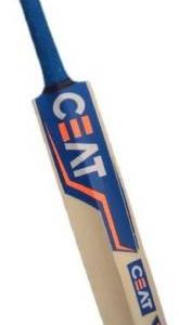 0-900-poplar-willow-cricket-bat-no-6-6-1-ceat-original-imafggjgczcwszky.jpeg