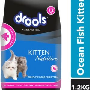 1-2-cat-932404-drools-original-imafxeycrgwqy5ph.jpeg