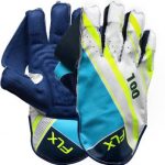 left-right-gloves-boys-na-0-22-21-5-wicket-keeping-gloves-flx-original-imafxt5vkz67pah6.jpeg